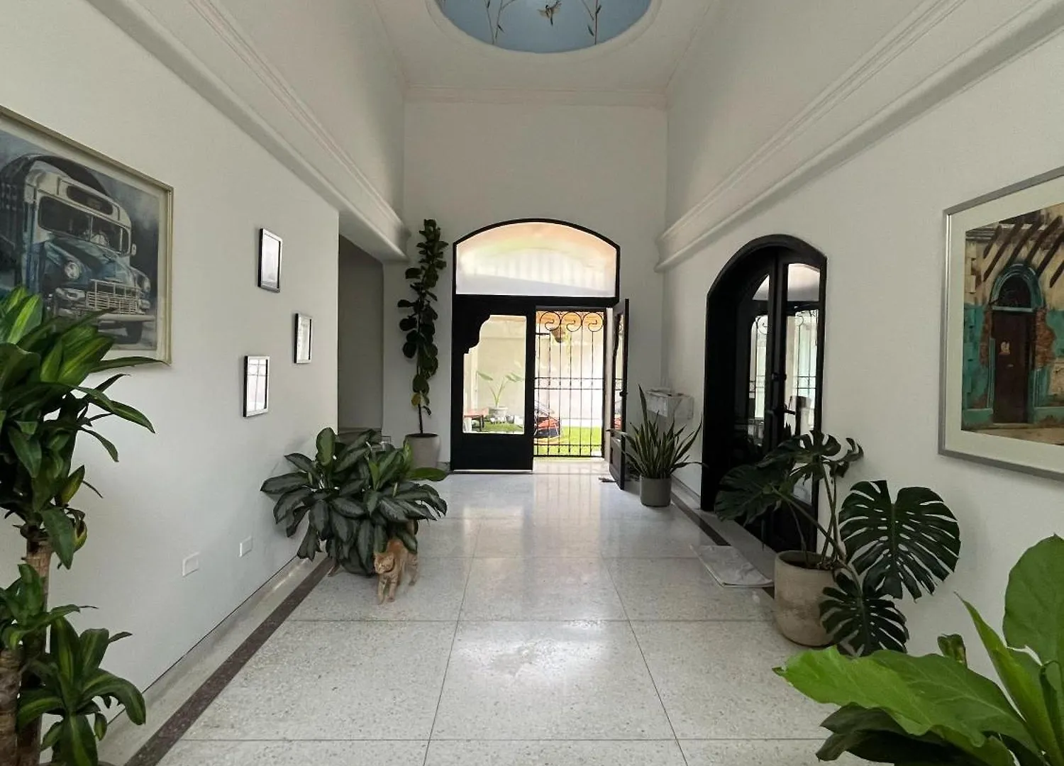 Casa Piedra Barranquilla Bed & Breakfast Barranquilla  Colombia